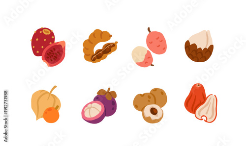 Exotic, tropical, rare and Common Fruits Collection. Flat cartoon Vector Set of fruits on white isolated background.