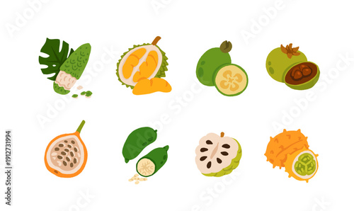 Exotic, tropical, rare and Common Fruits Collection. Flat cartoon Vector Set of fruits on white isolated background.
