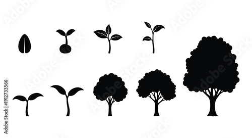 Plant growth stages illustrated with simple black silhouettes