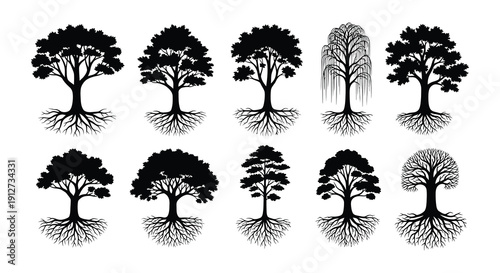 Collection of diverse tree silhouettes with detailed root systems