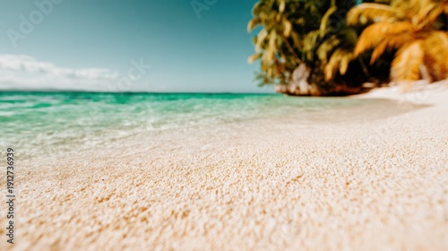 A bright and inviting sandy beach, where crystal clear turquoise waters meet the shore. Lush palm trees provide a tropical touch to this idyllic seaside setting.