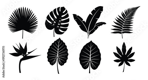 Silhouettes of various tropical leaves arranged in a grid pattern