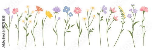 Wildflower set. Flat style. Minimalist botanical element. Isolated spring plant set on white background for nursery design, branding, sticker, textile, packaging and stationery.