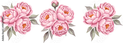 Elegant Pink Peony Floral Bouquet Set with Lush Petals and Leaves Isolated on Light Background Vector Illustration
