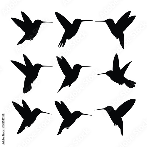Silhouettes of hummingbirds in various flight poses against a white background