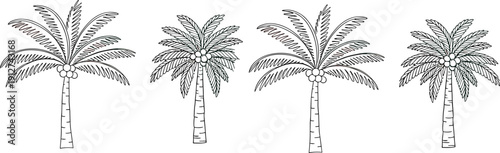 Hand drawn palm trees collection tropical botanical sketch vector illustration set isolated
