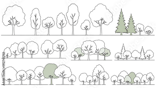 Illustration of diverse tree silhouettes in various stages of foliage and growth, showcasing different species and environments.