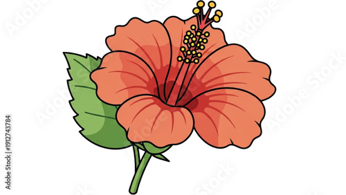 Vibrant hibiscus flower with green leaves illustrated from a front view
