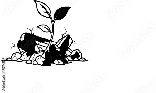 A green sprout emerges from a pile of jagged rocks