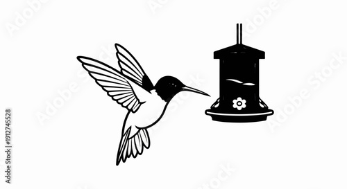 A hummingbird approaches a feeder for nourishment