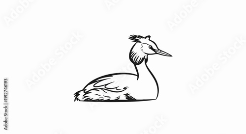 A simple black and white drawing of a grebe bird with a distinctive crest