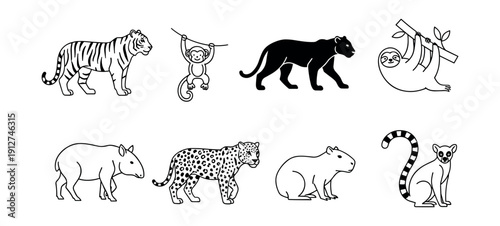 Cartoon animal illustrations set