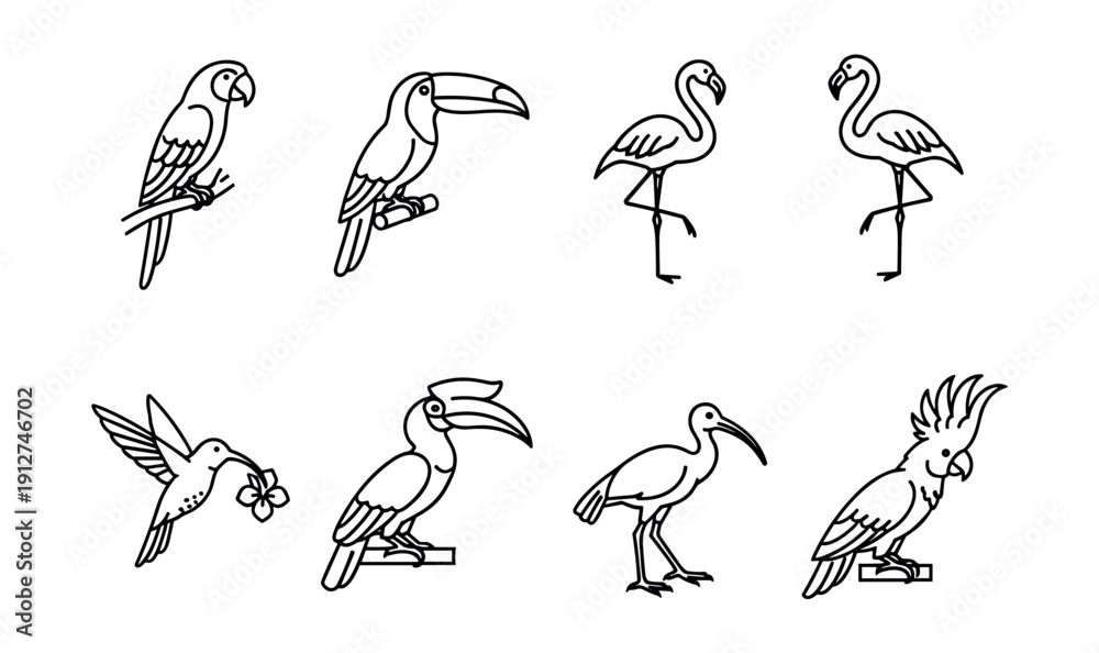 Fototapeta premium Bird line drawings set