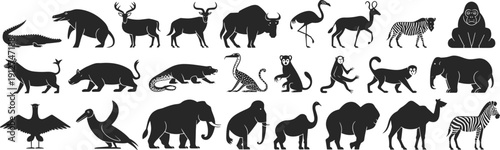 African wildlife animal silhouettes collection featuring safari mammals, birds and reptiles isolated on gray background, black vector fauna illustration set
