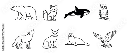 Wildlife outline illustrations set