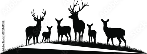 Deer family silhouettes on grassy hill featuring stag, doe and fawn isolated on gray background, black vector wildlife landscape illustration