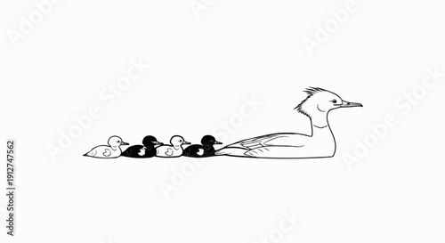 A mother bird with a spiky head leads four ducklings in a line
