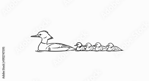 A mother duck with her ducklings swimming in a line