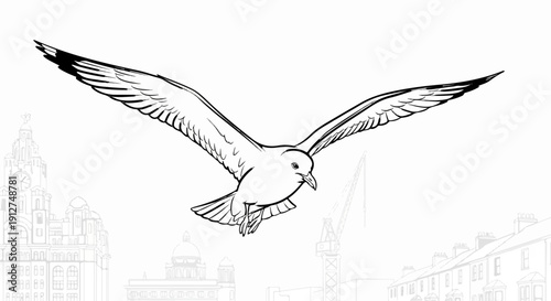 A solitary gull soars gracefully over a faint, grey-lined urban skyline