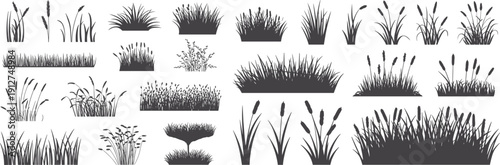 Grass and reed silhouette collection featuring meadow plants, cattails and wild vegetation isolated on dark background for landscape design