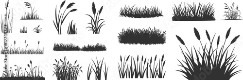 Meadow grass and cattail silhouette collection featuring wild field plants and reeds isolated on dark background for landscape design