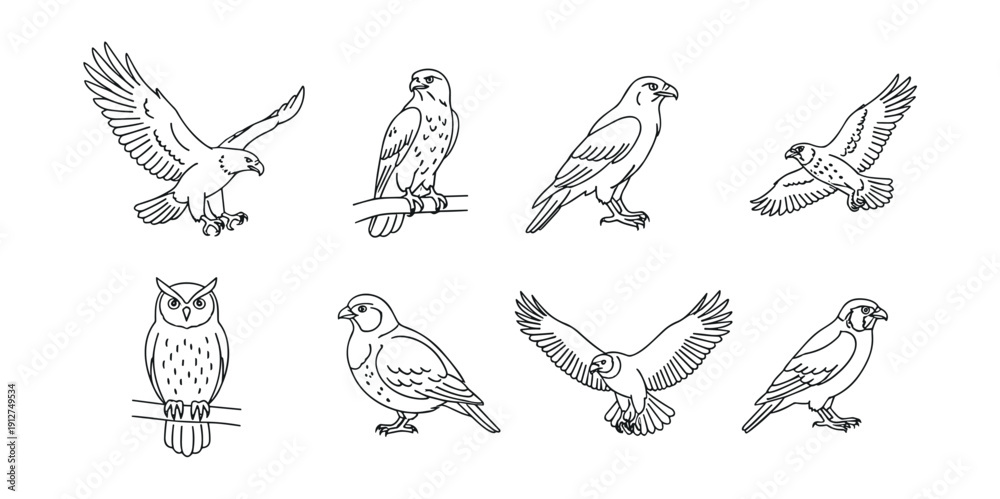 Fototapeta premium Bird line art illustrations set