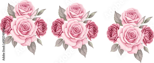 Romantic Pink Rose Bouquet Collection with Vintage Botanical Style Elegant Floral Vector Illustration Set