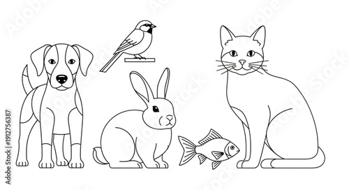 Collection of Domestic Animals and Pets Line Drawing.