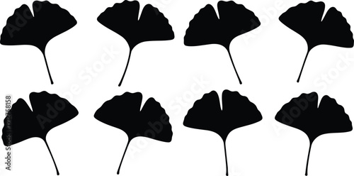 Black ginkgo biloba leaf silhouette collection isolated on white background for Japanese nature design herbal medicine wellness concept autumn foliage vector illustration set icon