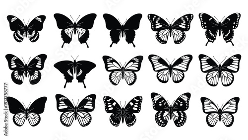 Detailed black and white butterfly collection showcasing intricate wing patterns and various symmetrical flight poses.