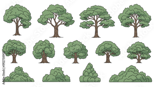 Collection of different tree and bush species in various shapes for landscape design and outdoor environment concept projects.