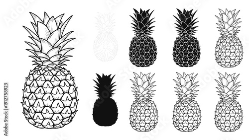 Pineapple fruit illustrated in multiple graphical styles from dot work to solid silhouette for tropical food branding designs.