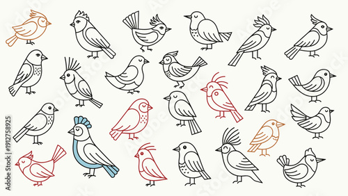 Pattern of various stylized bird line drawings in different colors for nature lovers and decorative artistic design projects.