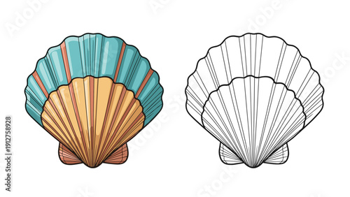Illustration of a bivalve scallop shell shown in both vibrant colors and as a detailed black line art drawing for marine art.