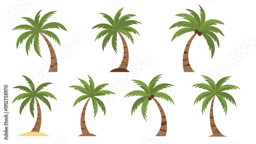 Collection of palm tree illustrations with different leaf shapes and trunk curves for tropical landscape and beach designs.
