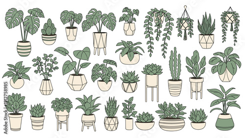 Large collection of diverse indoor house plants in various decorative pots for home gardening and interior decor projects.