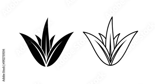 Minimalist floral designs abstract flower artwork simple plant illustration Vector