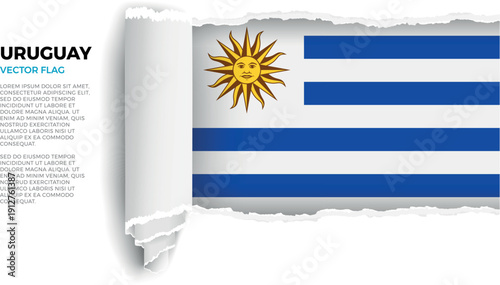 Flag of Uruguay. Flag revealed through torn paper rolled up on a transparent background