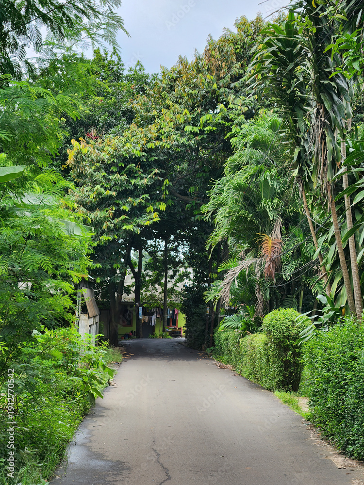 Obraz premium Quiet Road Surrounded by Lush Trees. Green Avenue Peaceful Outdoor Path. Natural Landscape Urban Park Scene. Scenic Street Under Tropical Canopy. Serene Environment Daylight View