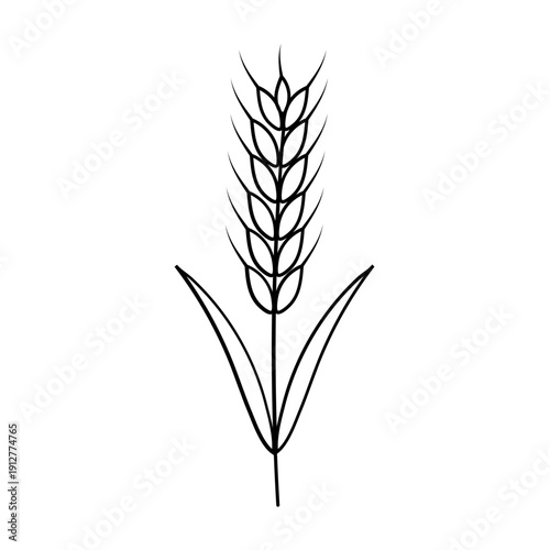 Wheat Stalk Illustration