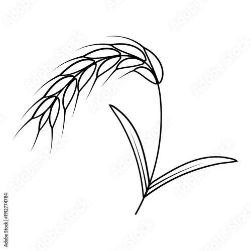 Wheat Ear Line Art Drawing