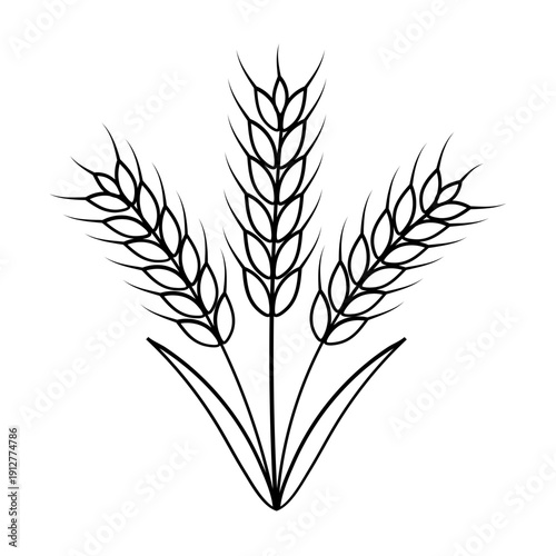 Three Stalks of Wheat Drawing