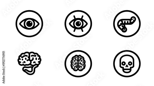 Human Anatomy Line Icons Set: Eye, Brain, Intestine, and Skull Symbols for Medical, Biology, and Health Concepts.