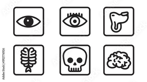 Vector Anatomy Icons Set with Eye, Skull, Brain, Rib Cage, and Animal Head Graphics for Medical Design