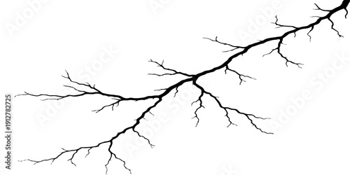 A black vector illustration of a floral cherry blossom branch with birds and flowers emerging from a crack in the wall against a nature pattern sky