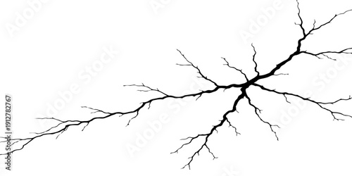 A silhouette of a bird on a cherry blossom branch visible through a crack in a hole in the wall with a floral pattern and a winter sky vector illustration