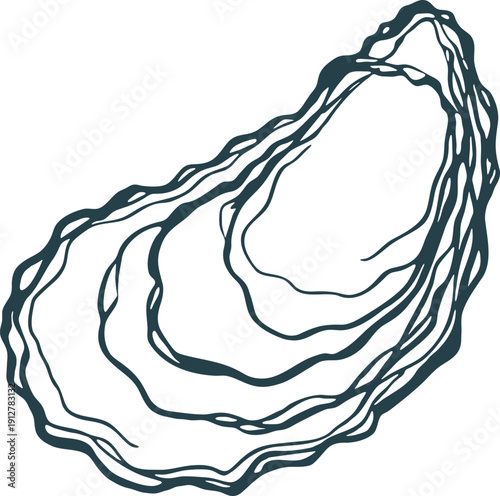 Oyster Shell Outline Illustration