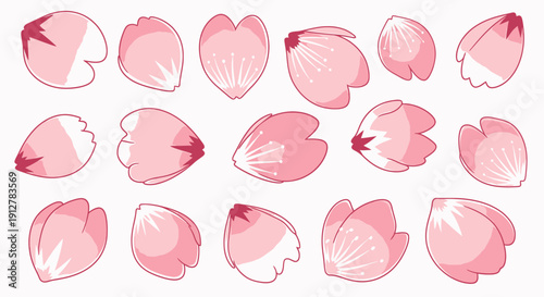 Collection of delicate pink cherry blossom petals gently falling, perfect for spring and nature-themed designs