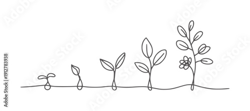 Black and line of plant growth stages from seedling to flowering sprout leaves