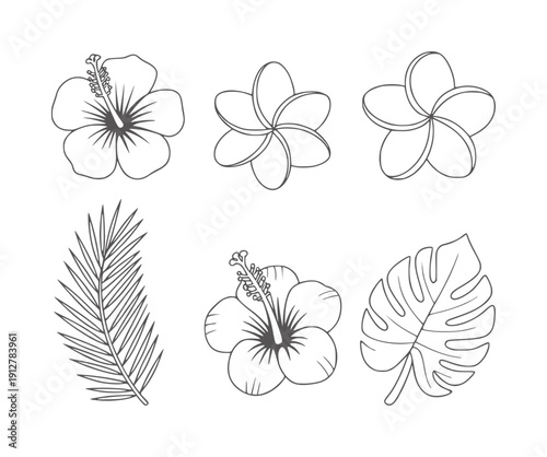 Black and line tropical flowers and leaves collection